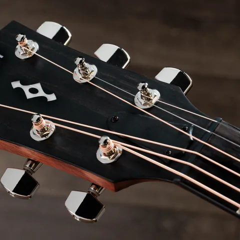 2024年の新アコースティックギター | Taylor Guitars